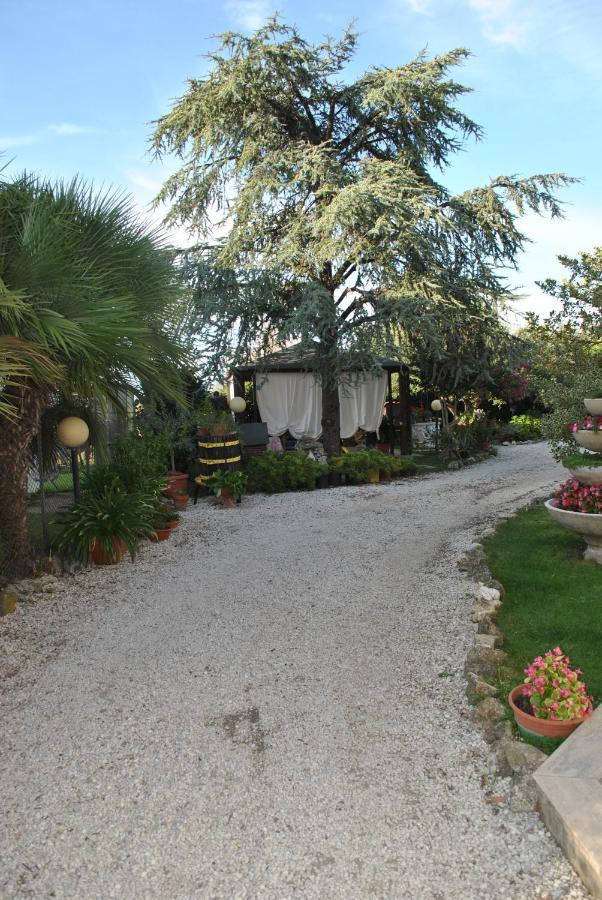 Villino Alle Terme Viterbo Ngoại thất bức ảnh