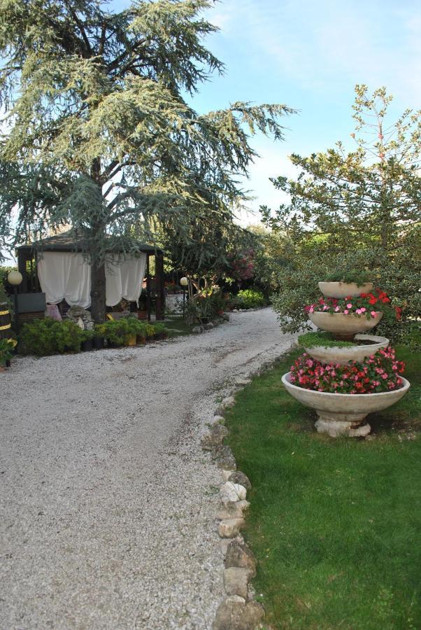 Villino Alle Terme Viterbo Ngoại thất bức ảnh